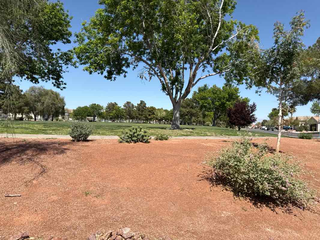 walking near me in Rodeo Park in spring