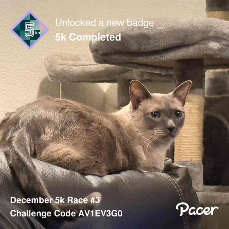 December 5k Race #3 Gudjon post image