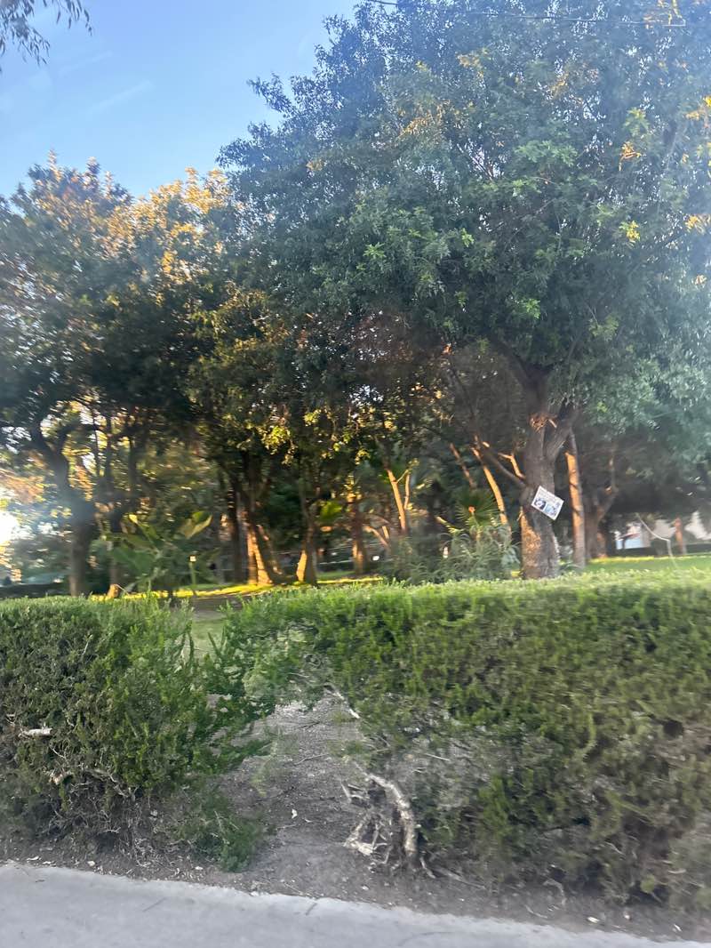 walking near me in Parque de las Américas in winter