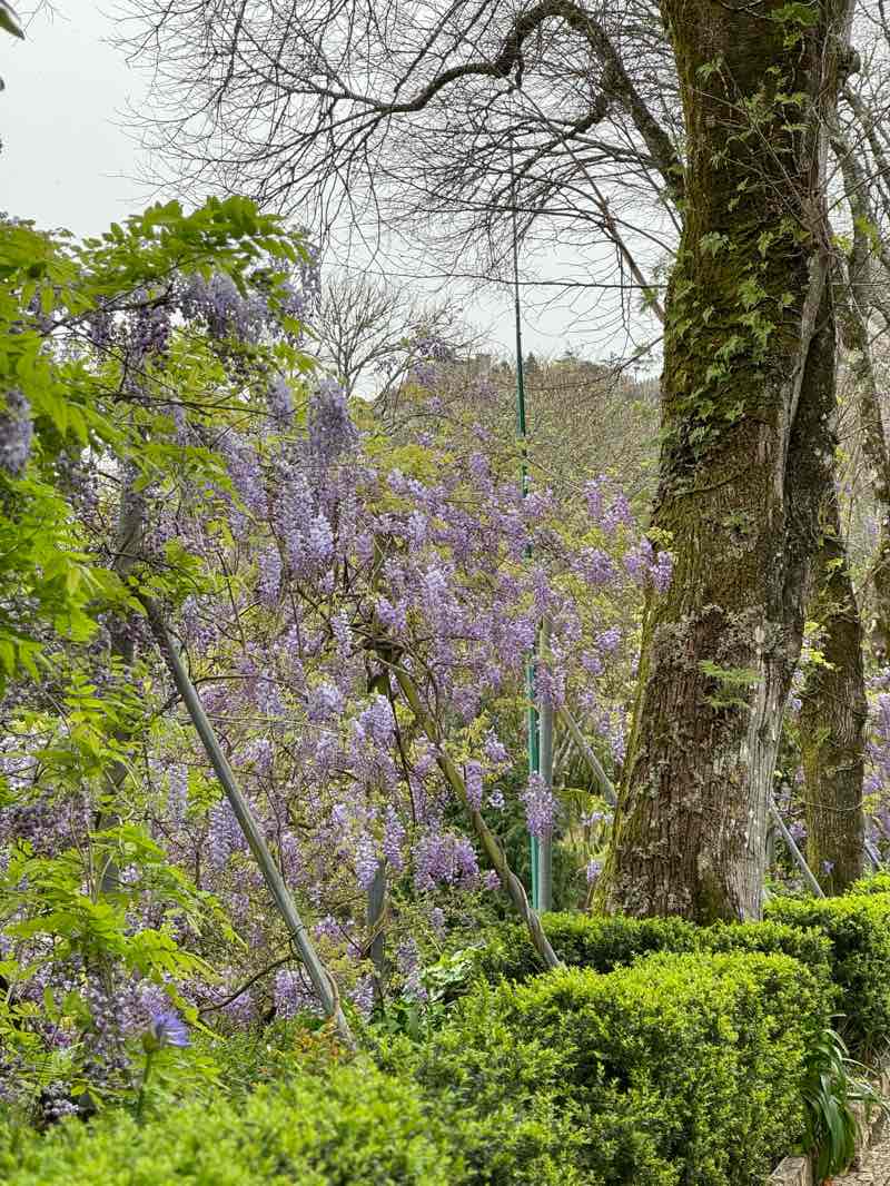 walking near me in Park of Monserrate in winter