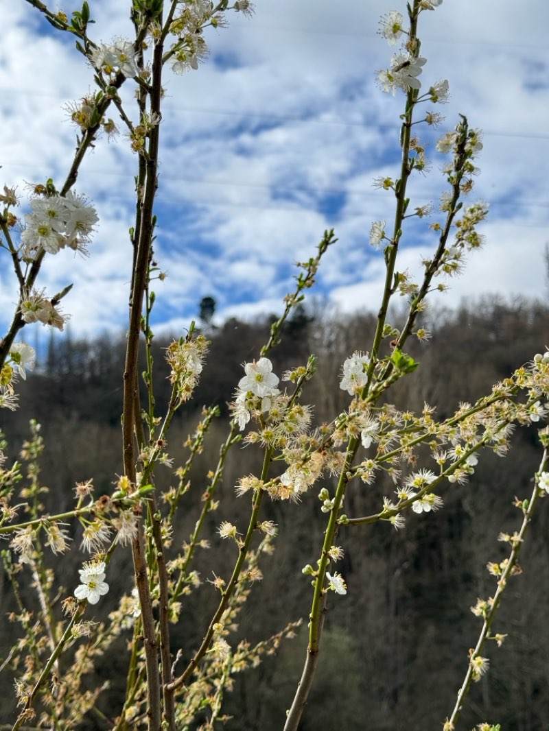 walking near me in Praza da Vila in winter