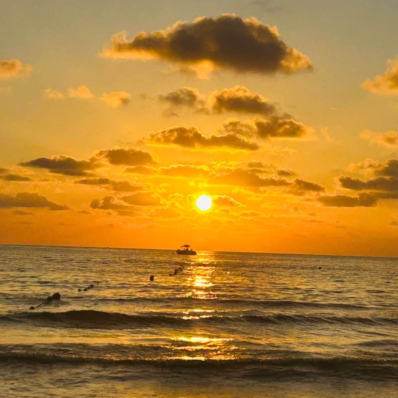 Schritt für Schritt 🐾 Mandys leben. nicht deins post image