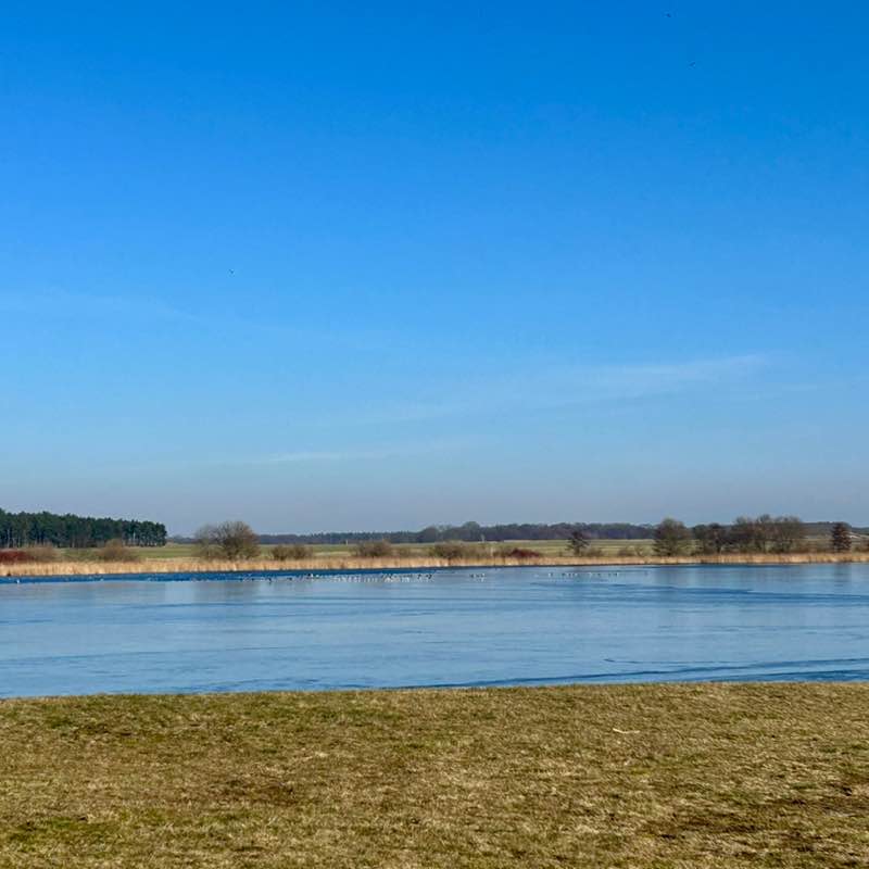 Mandys leben. nicht deins post 1