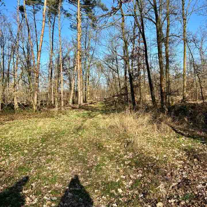 Mandys leben. nicht deins post 2