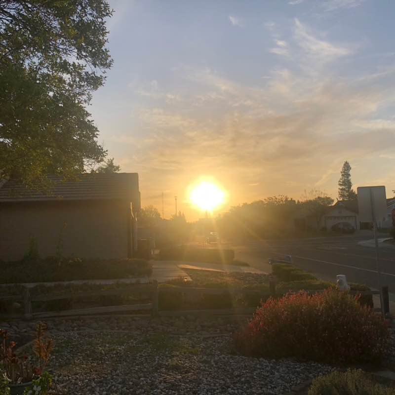 InTheOutdoors of Nature Patricia post image