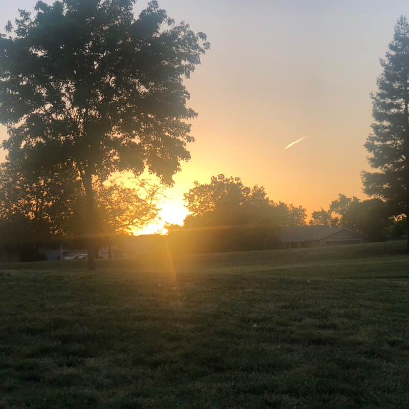 Sunrise and Sunset’s Patricia post image