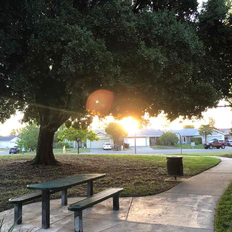 Sunrise and Sunset’s Patricia post image