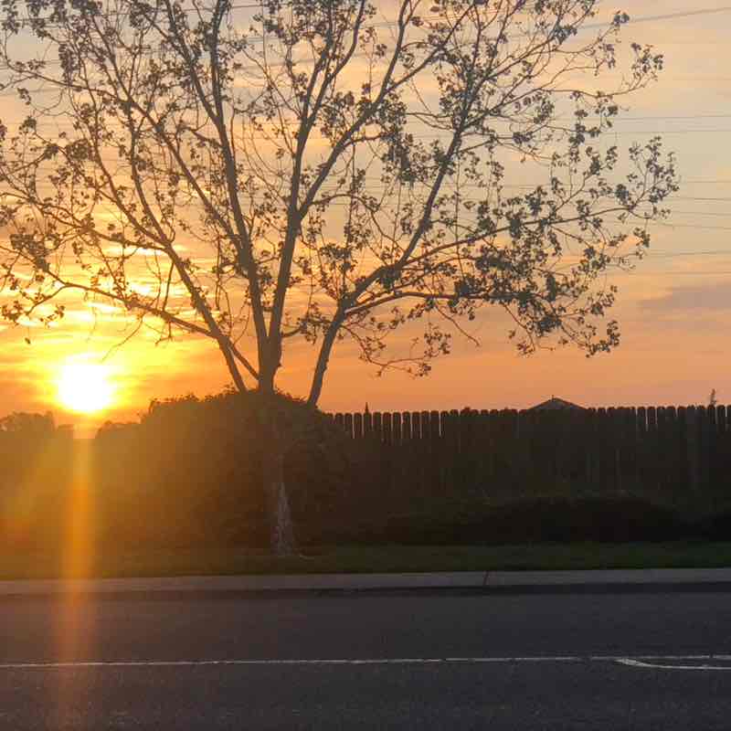 InTheOutdoors of Nature Patricia post image