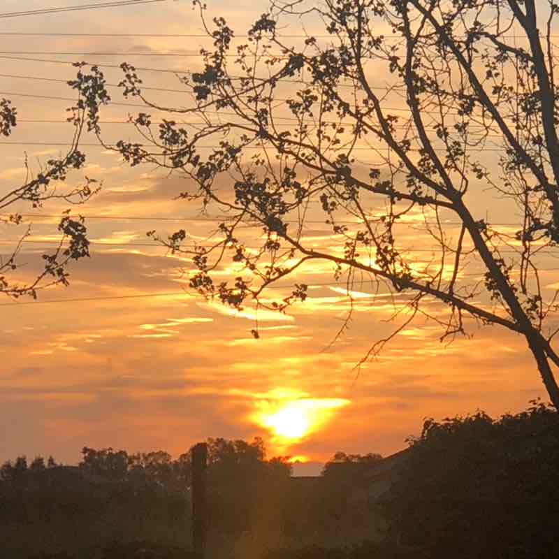 InTheOutdoors of Nature Patricia post image