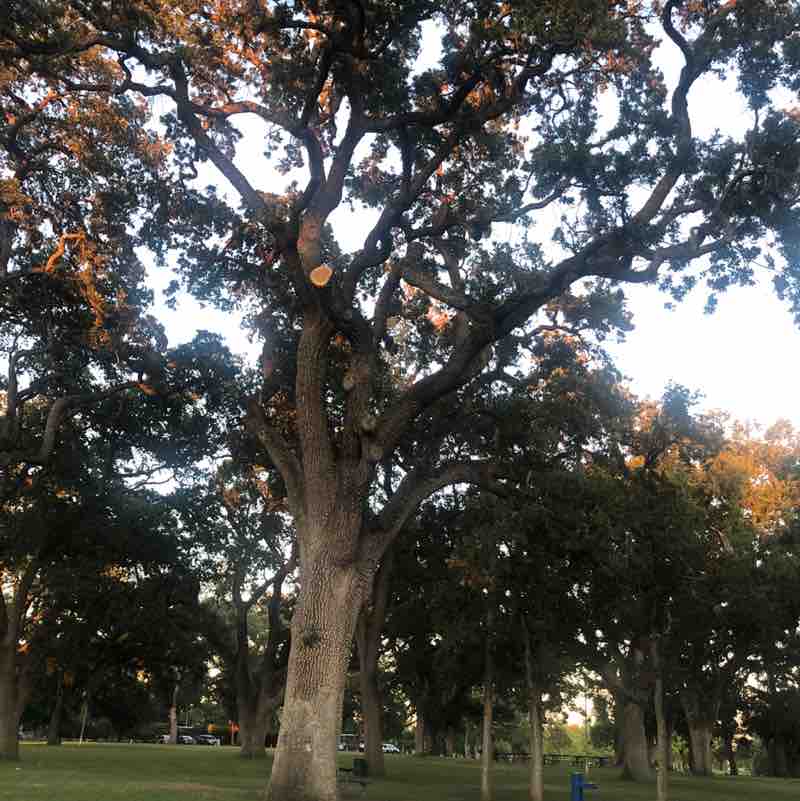 Sunrise and Sunset’s Patricia post image