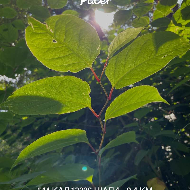 Анастасия post 1