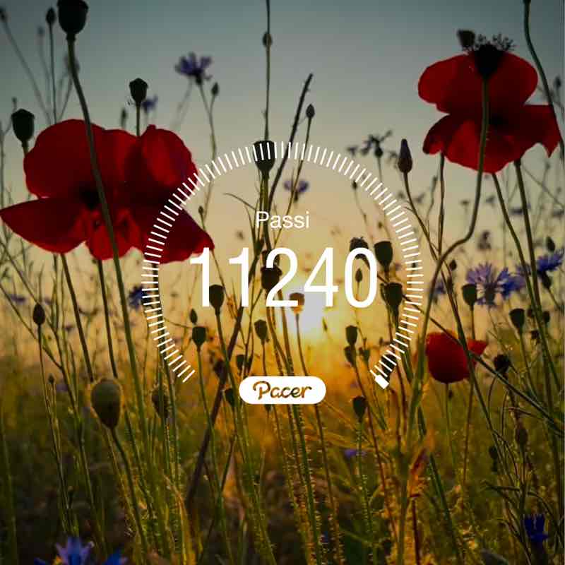 Attyla 5️⃣ 🇮🇹🔝💪 post 1