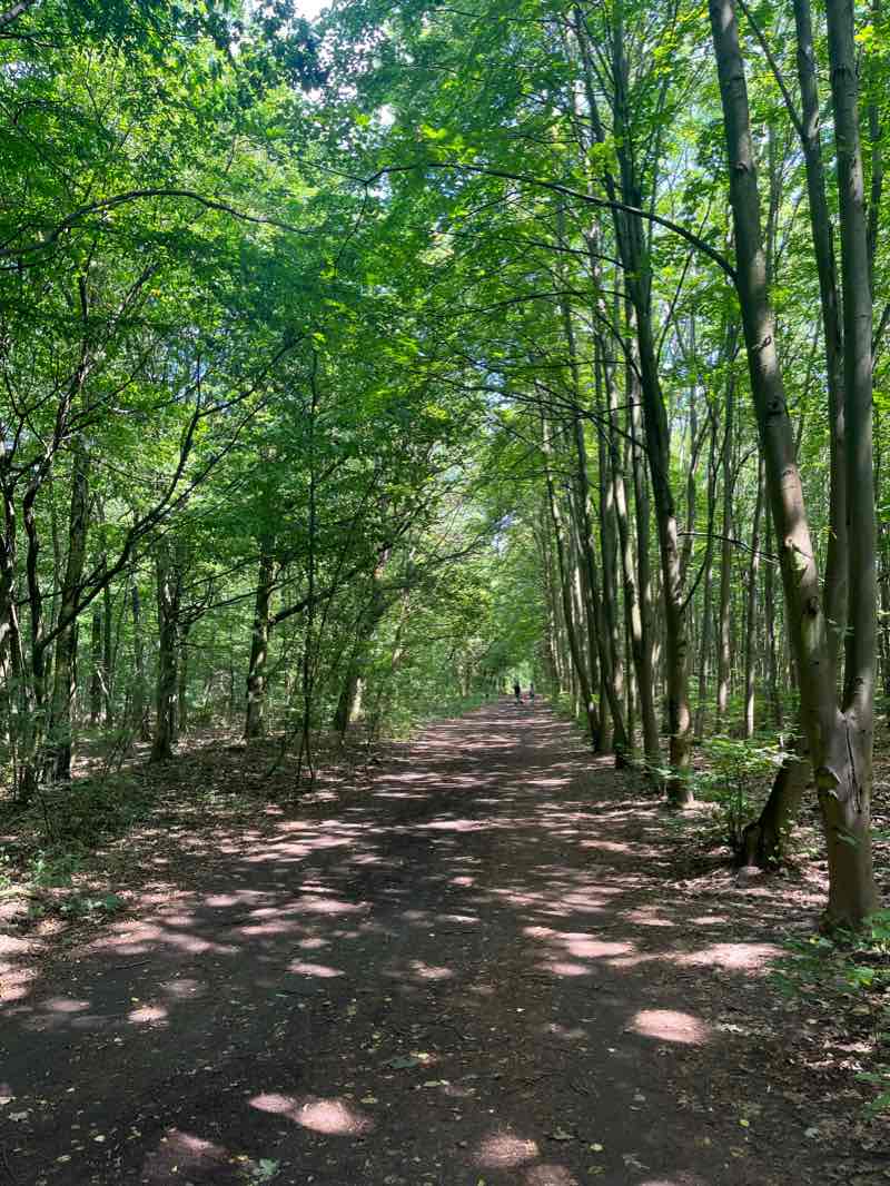 walking near me in Park Jana Kasprowicza in winter