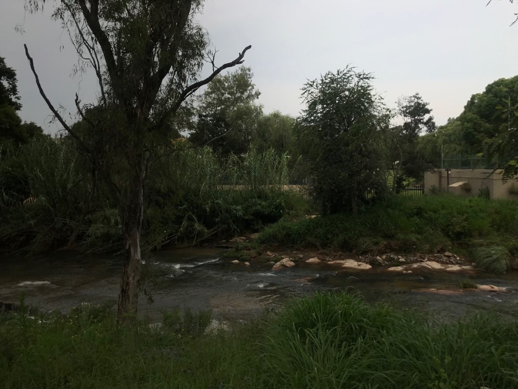 walking near me in Robyn Park in summer