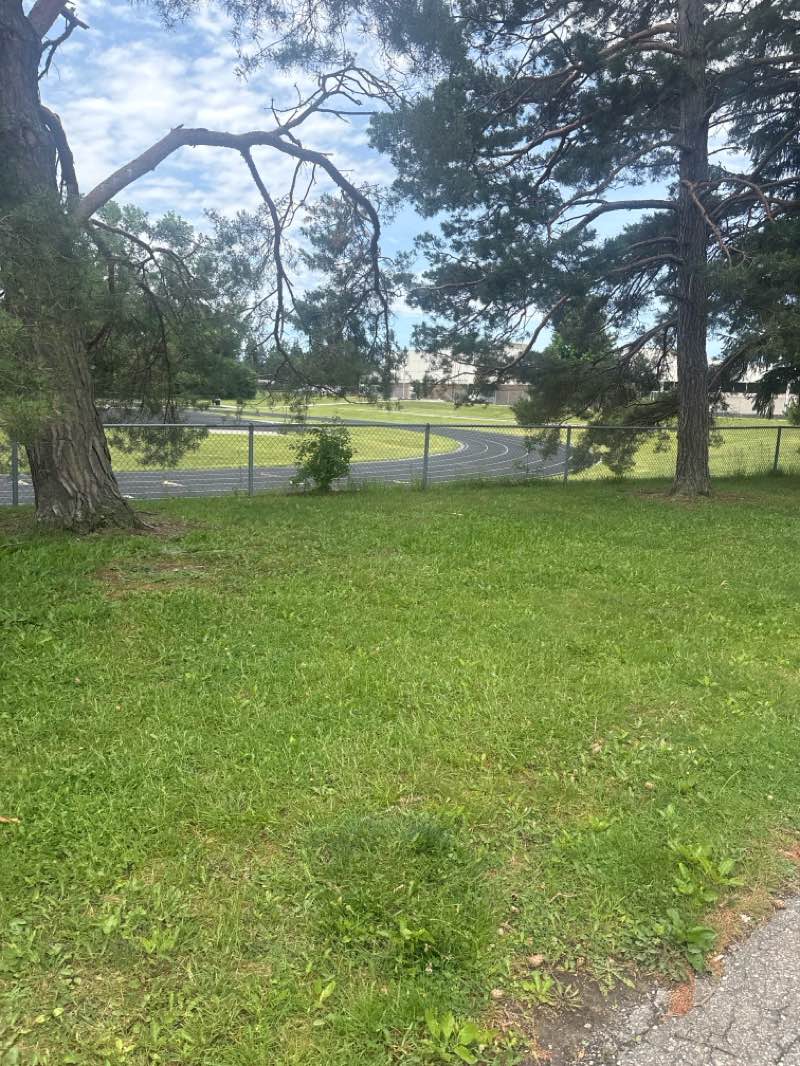 walking near me in Boulan Park in summer