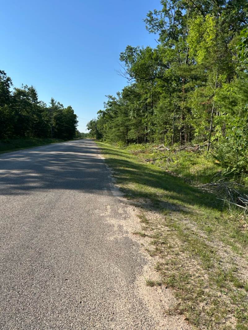 walking near me in Mackinaw State Forest - Atlanta Unit in summer