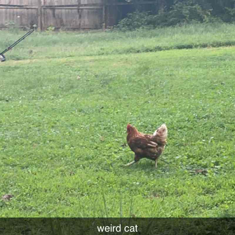 Ric Office- Troutman Pepper Taylor post image