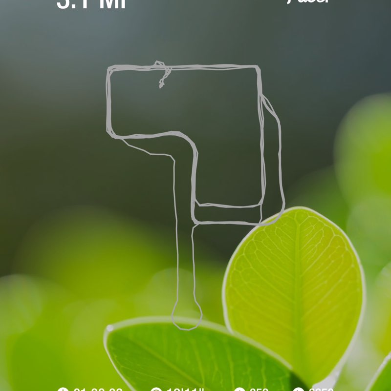 New to Town Dylan post image