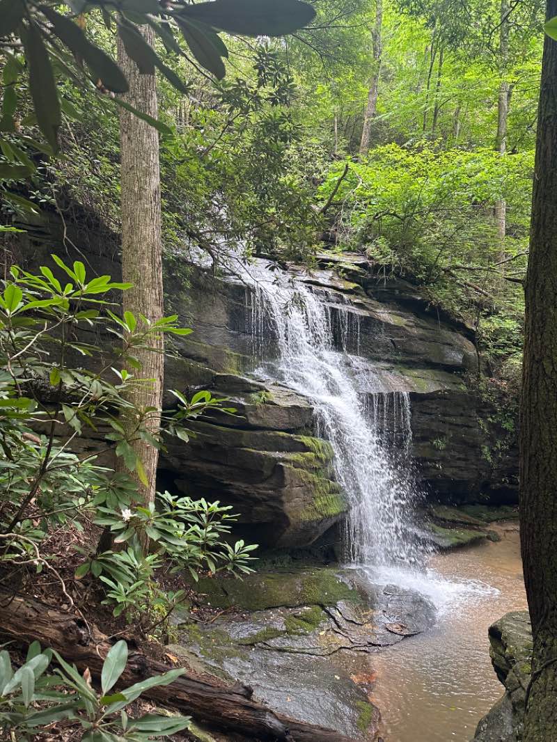 walking near me in Waterfall Park in winter