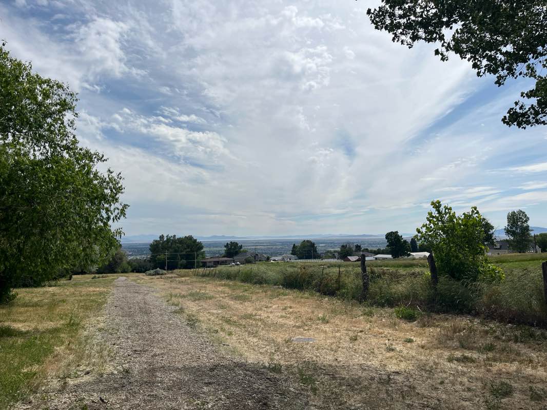 walking near me in Wadman Nature Park in summer