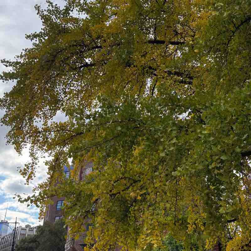 Enghelab Sport Complex Mahshad🇮🇷 post image