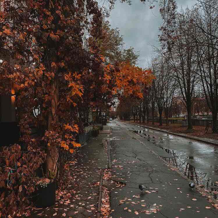 Enghelab Sport Complex Mahshad🇮🇷 post image