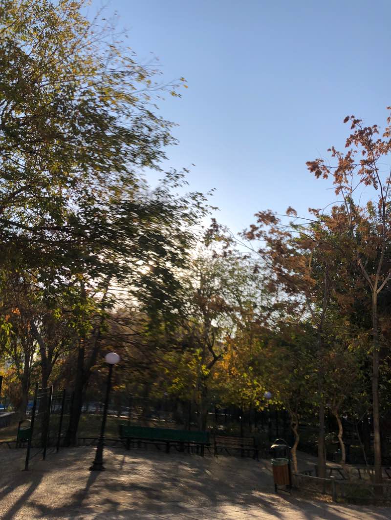 walking near me in Goftegou Park in autumn