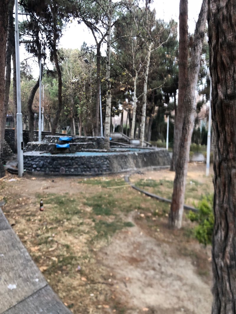 walking near me in Laleh Park in winter