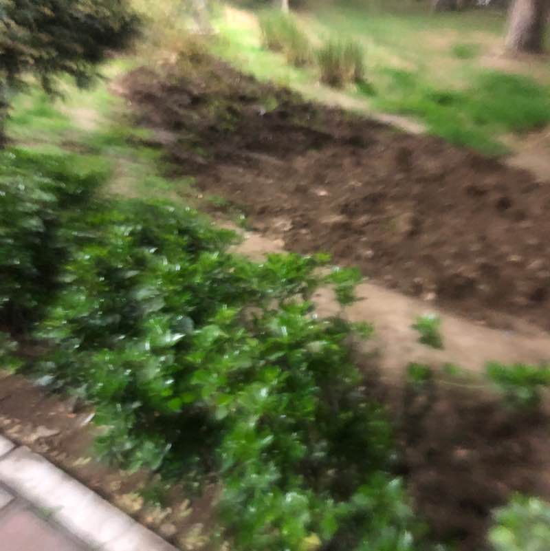 Mahshad🇮🇷 post 1