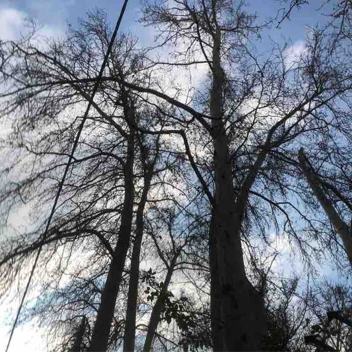 Mahshad🇮🇷 post 3