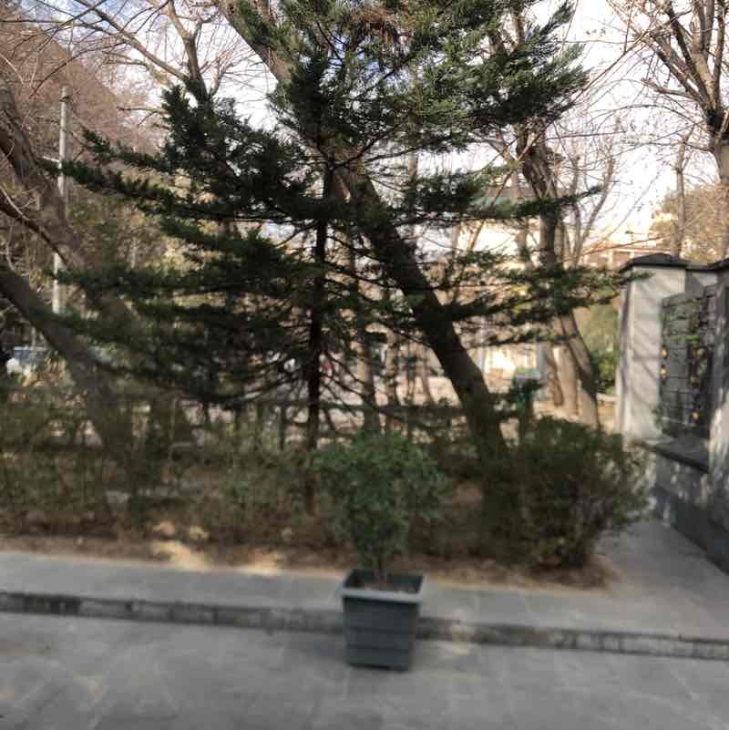 Mahshad🇮🇷 post 1