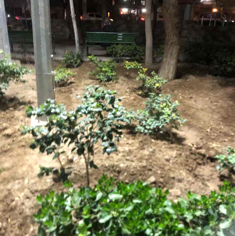 Mahshad🇮🇷 post 3