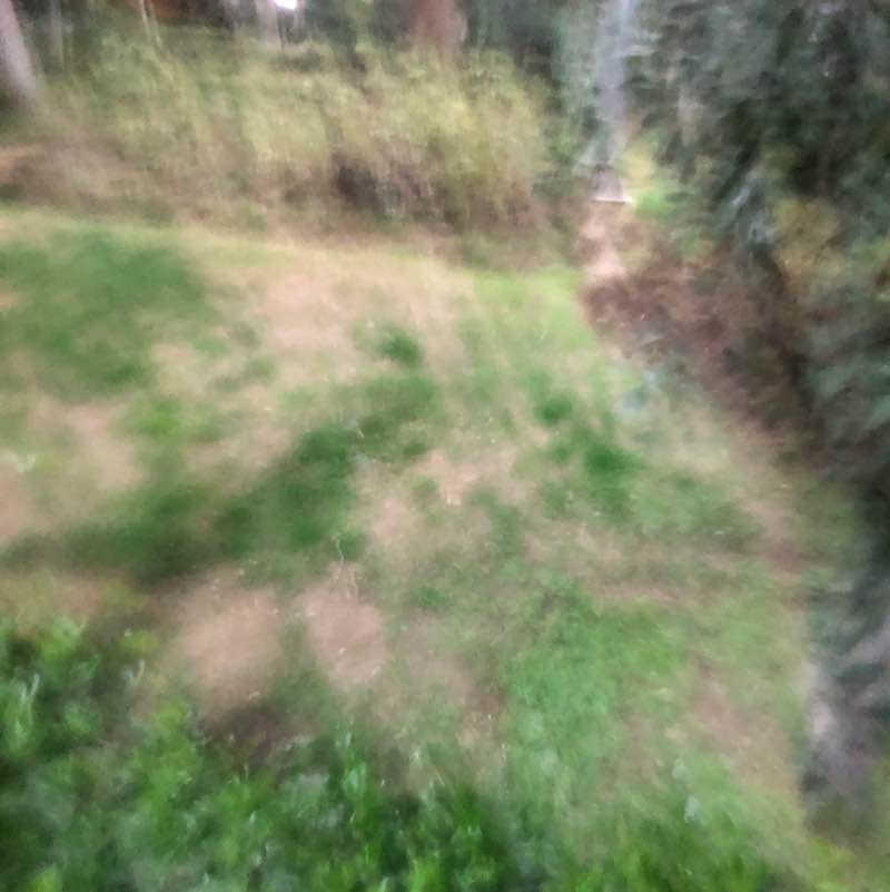 Mahshad🇮🇷 post 2