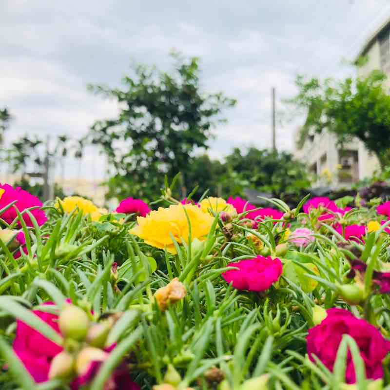 美好 post 1