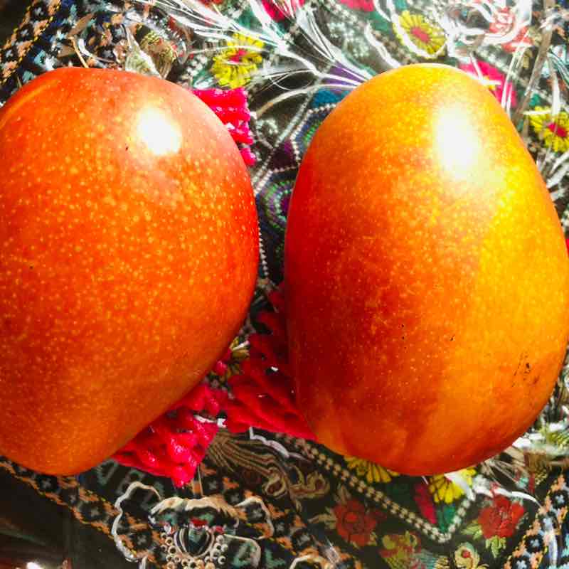 美好 post 1