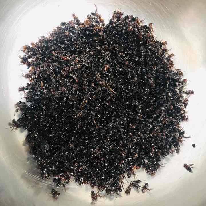 美好 post 1