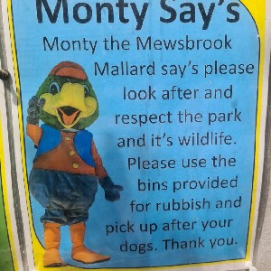 Monty Mallard