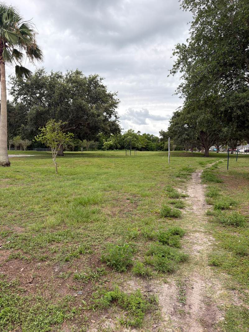 walking near me in McKibbin Park in summer