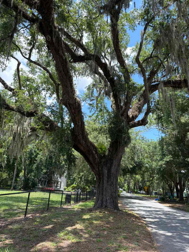 walking near me in Bay Ave Park in summer