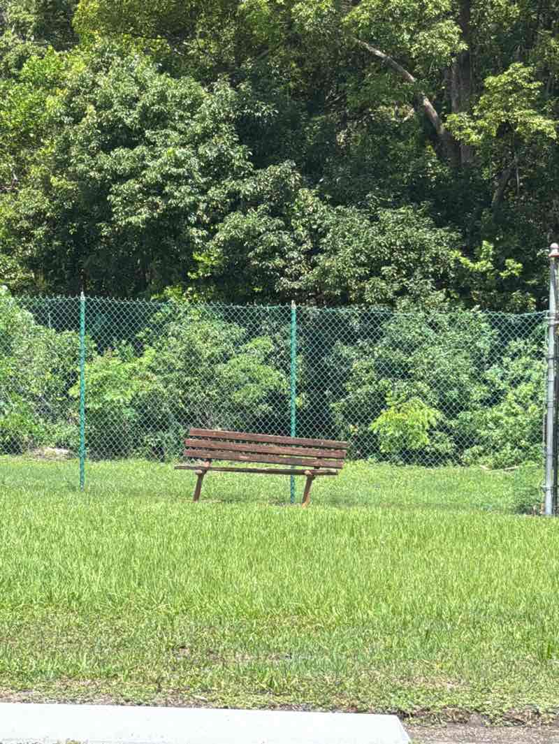 walking near me in Sanora Community Park in summer
