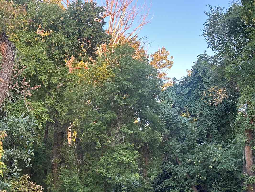 walking near me in Crestwood Park in autumn