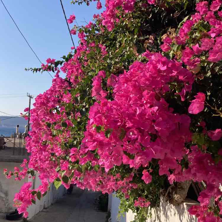 Heather Leggett post 2