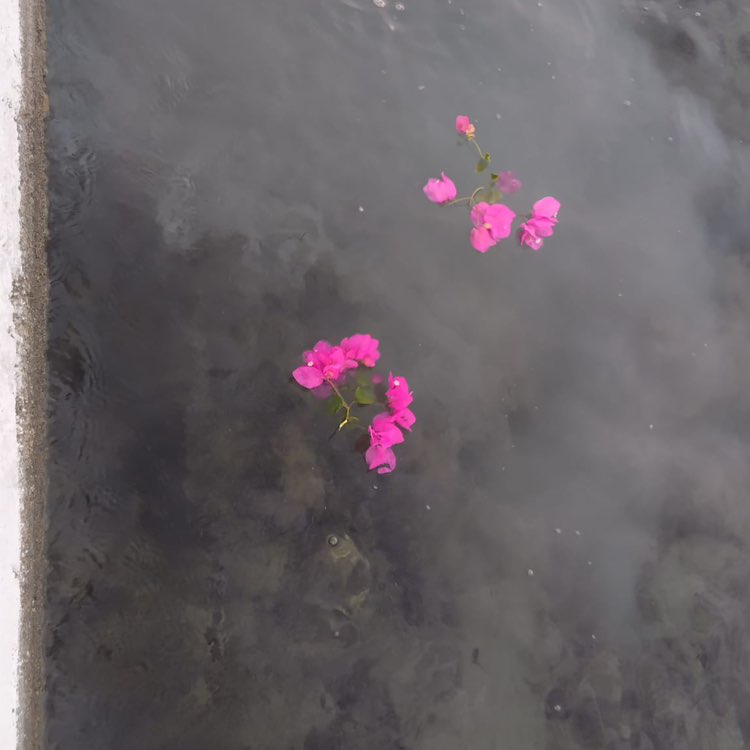 Heather Leggett post 2