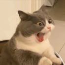 lln