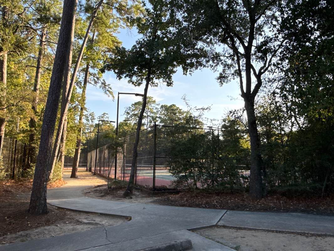 walking near me in Sawmill Park in autumn