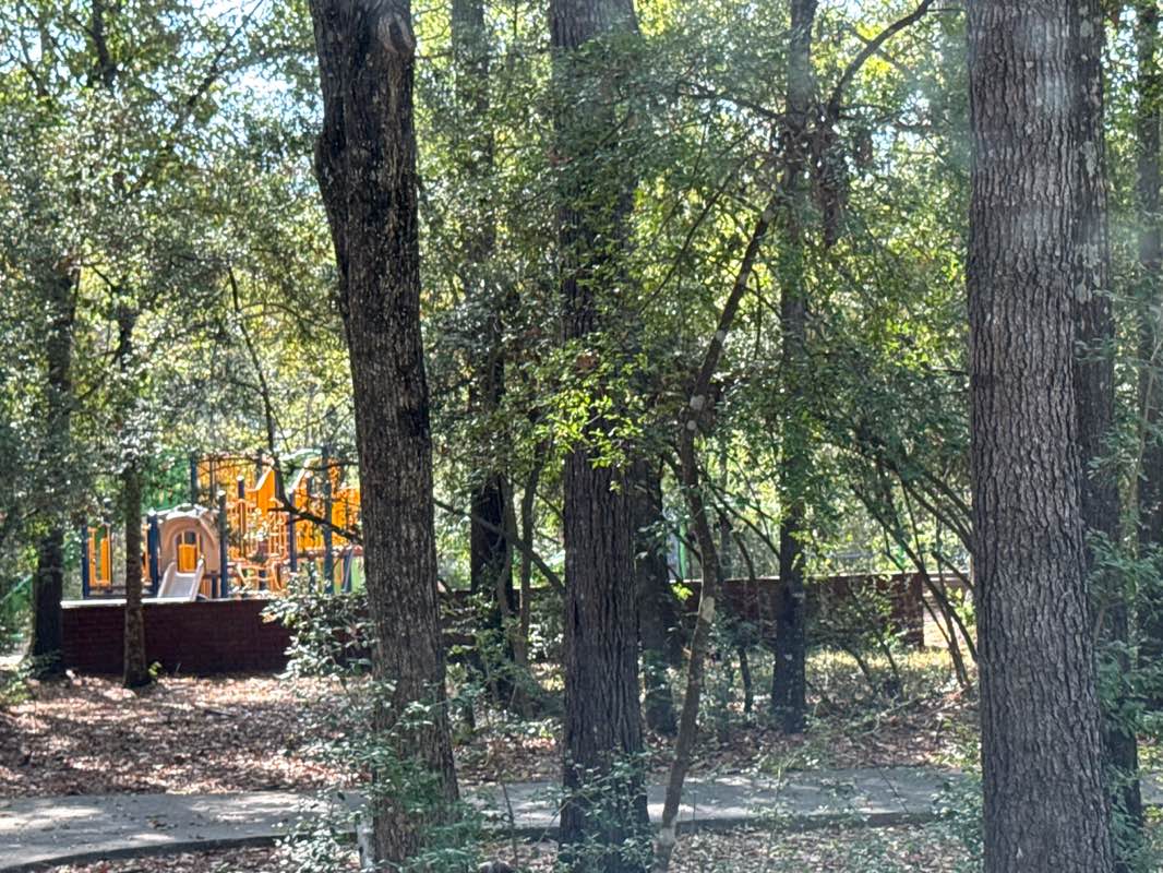 walking near me in Harper's Landing Park in autumn