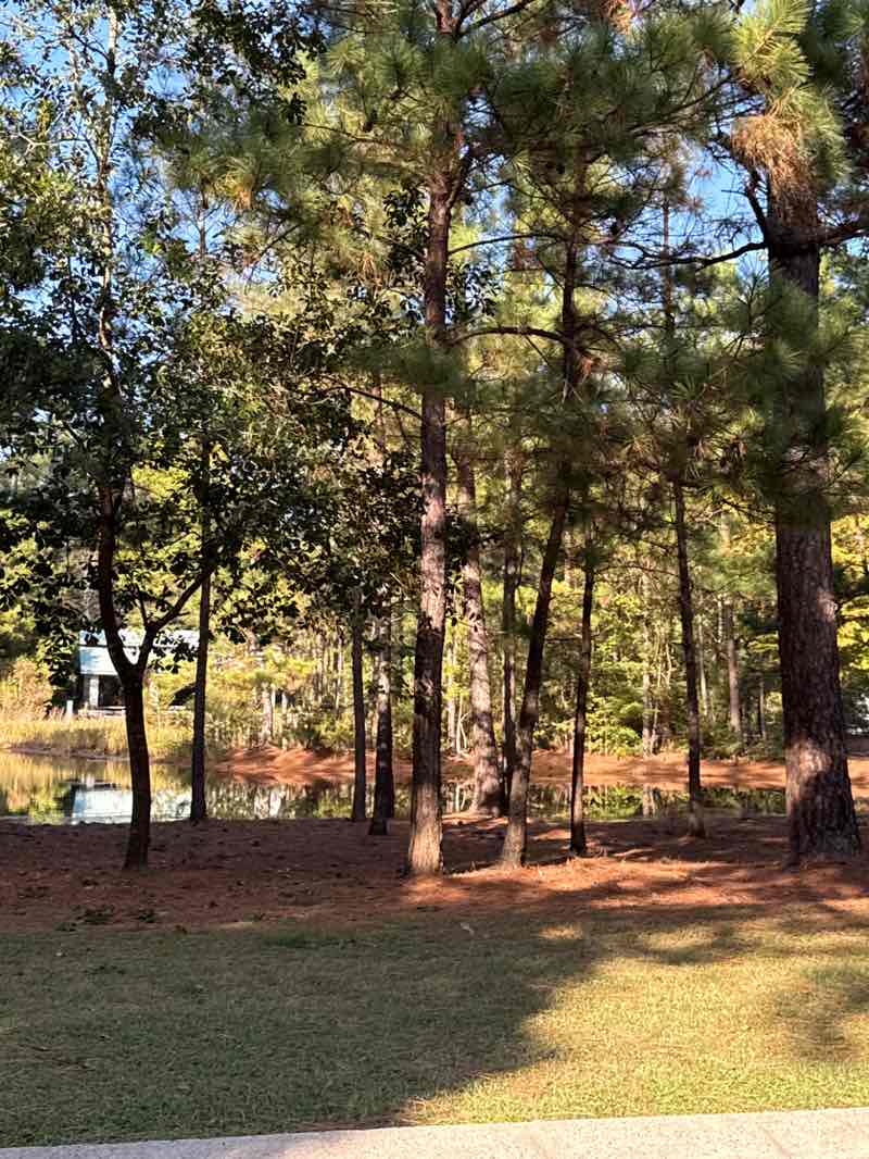 walking near me in Pepperdale Park in autumn