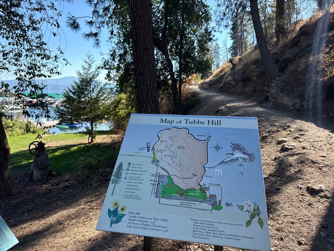 walking near me in East Tubbs Hill Park in autumn