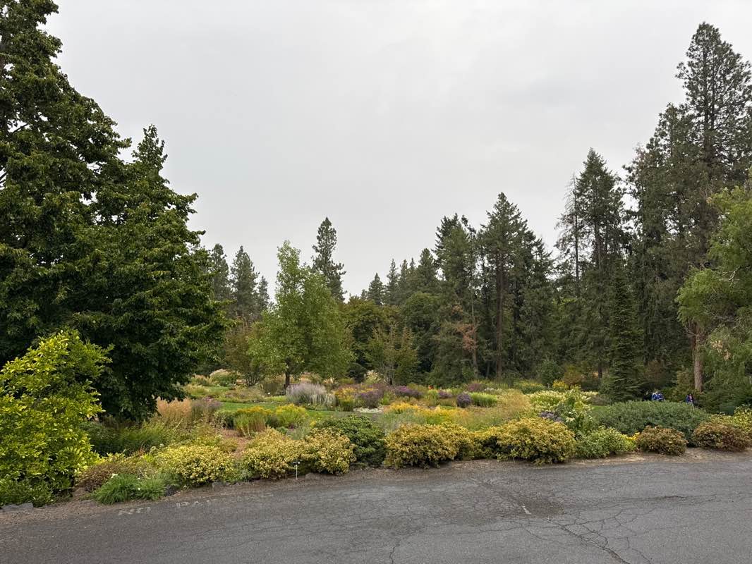 walking near me in Manito Park in autumn