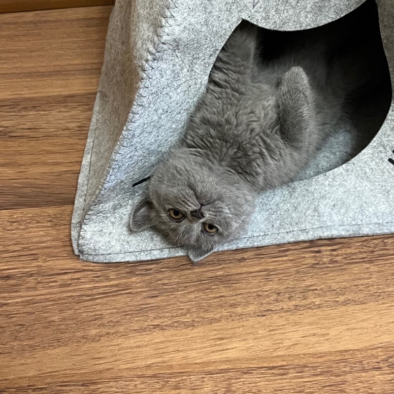 participant 2